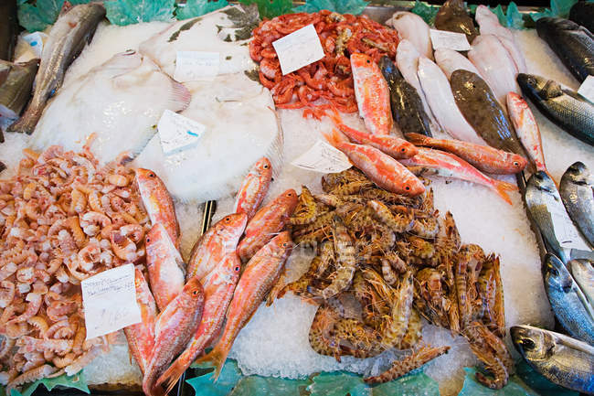 Différents poissons morts sur le stand du marché — Photo de stock
