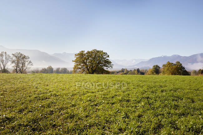 Краєвид з далеких вид Murnauer Moos — стокове фото