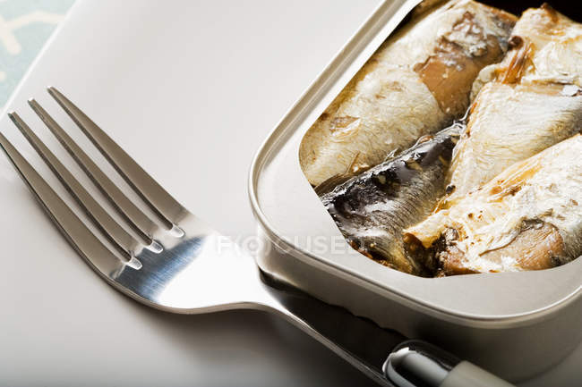 Lattina di sardine e forchetta — Foto stock