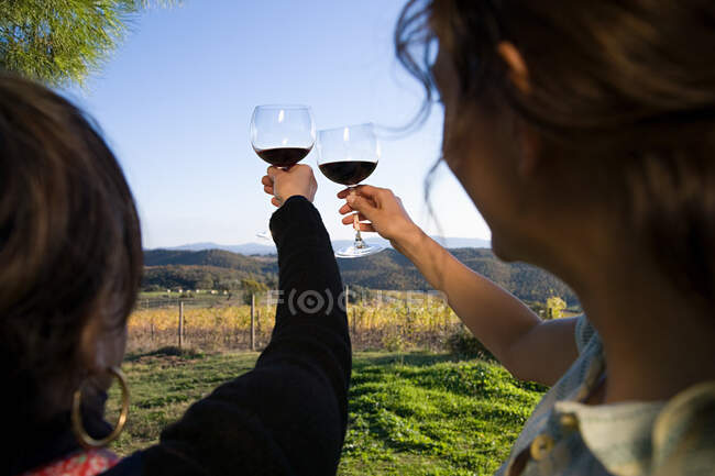 Mujeres criando copas de vino - foto de stock