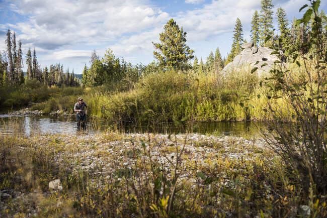 Человек в реке рыбалка мухи возле перевала Лоло в горных горах Биттеррут, Миссула, Монтана, США — стоковое фото