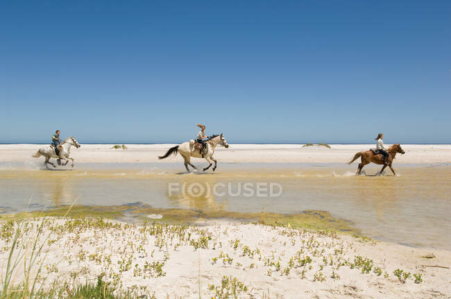 Um menino e meninas montando cavalos — Fotografia de Stock