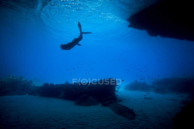 Vista submarina de un hermoso buceador en un mar azul en el fondo con un agua clara y un rojo - foto de stock