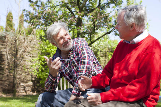 Dois amigos do sexo masculino seniores conversando — Fotografia de Stock