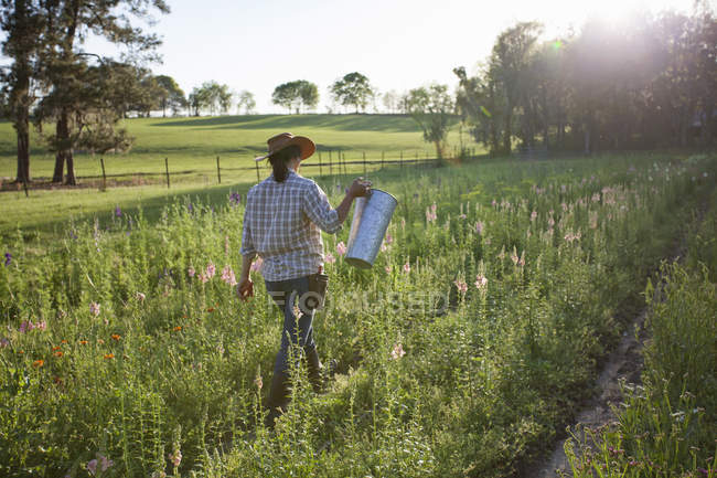 Молода жінка, що несе відро в дротики (антирин) квіткового фермерського поля — стокове фото