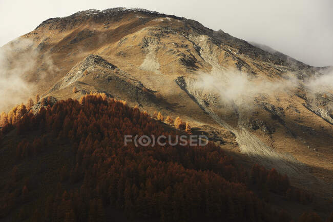 Paisagem da floresta de outono nas montanhas — Fotografia de Stock