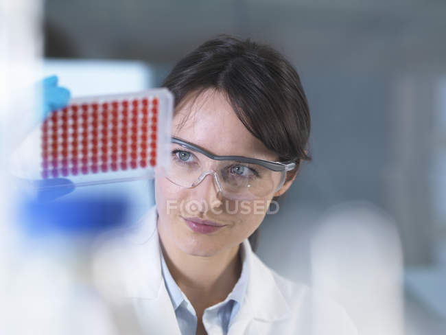 Cientista que prepara amostras de sangue para testes clínicos em laboratório — Fotografia de Stock