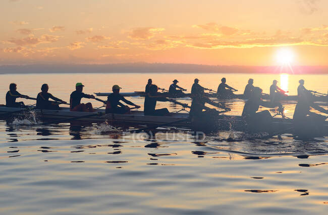 Дванадцять людей веслують на заході сонця — стокове фото
