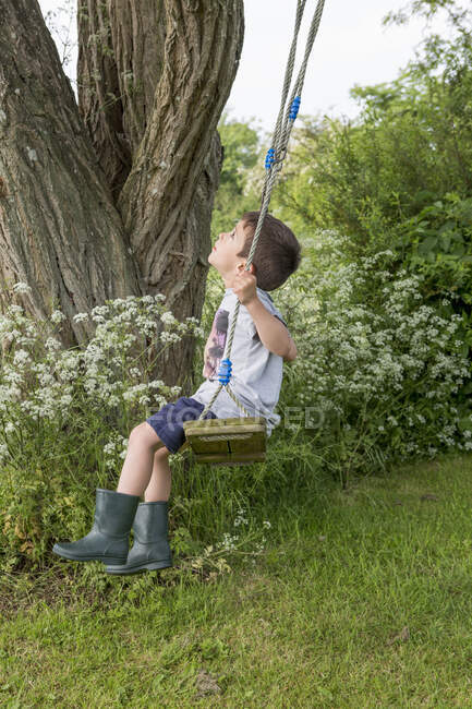 Хлопчик на дереві гойдалки — стокове фото