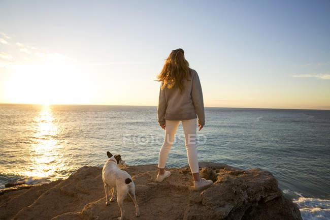 Visão traseira da mulher e do cão assistindo pôr do sol da rocha penhasco — Fotografia de Stock