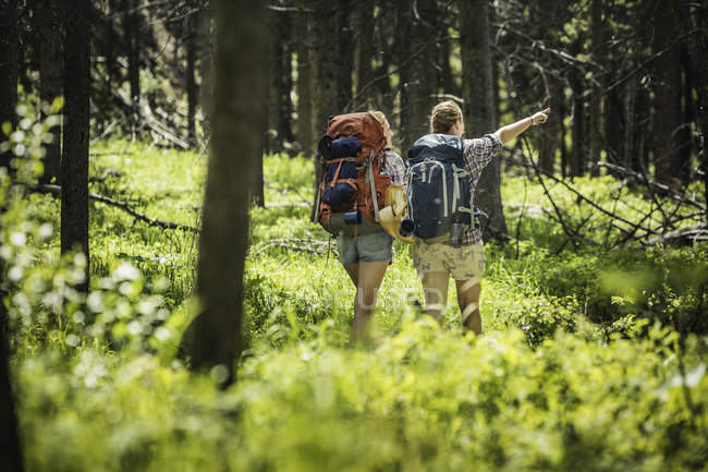 Vista trasera de una adolescente y una joven excursionista señalando en el bosque, Red Lodge, Montana, EE.UU. - foto de stock