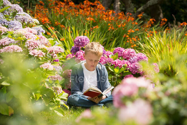 Niño leyendo libro en el jardín - foto de stock