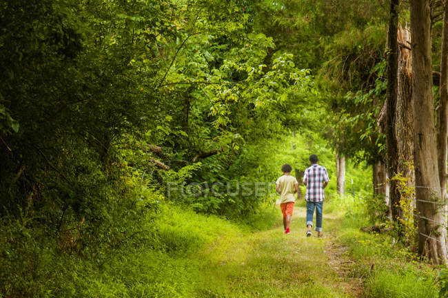 Vue arrière des garçons marchant dans la forêt — Photo de stock