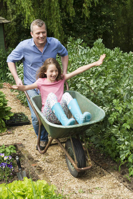 Father pushing daughter in wheelbarrow — Stock Photo