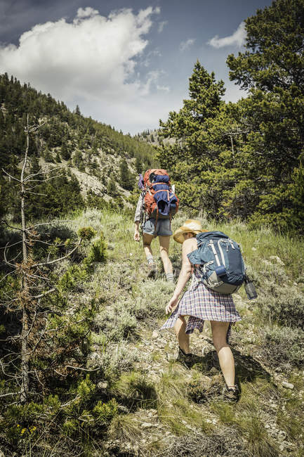 Vista trasera de una adolescente y una joven excursionista subiendo la montaña, Red Lodge, Montana, EE.UU. - foto de stock