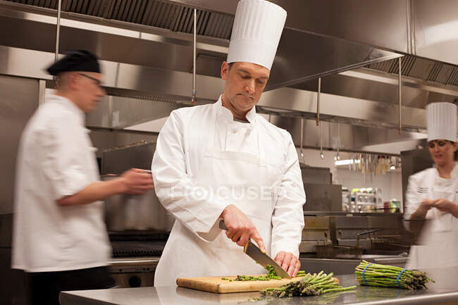 Chefs préparant des aliments dans la cuisine commerciale — Photo de stock