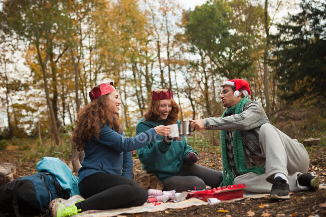 Jovens amigos vestindo chapéus de Papai Noel e coroas tostando na floresta — Fotografia de Stock