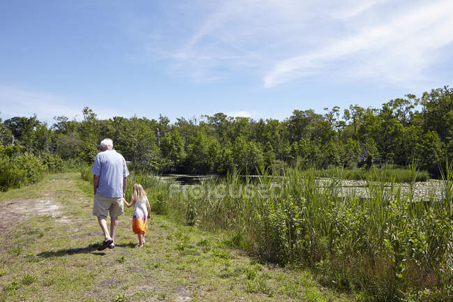 Vista trasera de la niña y el abuelo paseando por el lago rural - foto de stock
