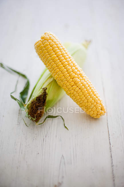 Corn on unopened cob husk — Stock Photo