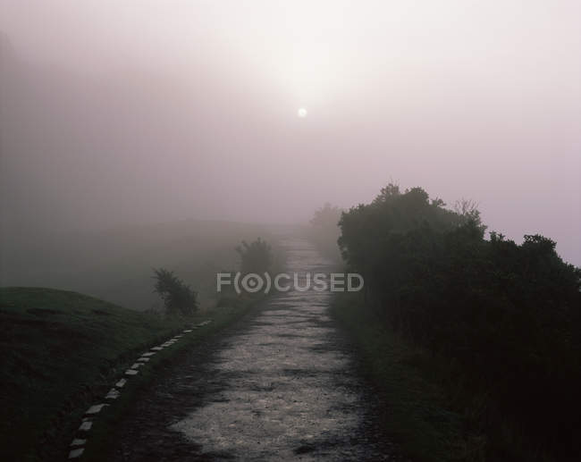 Nevoeiro ao longo do caminho — Fotografia de Stock