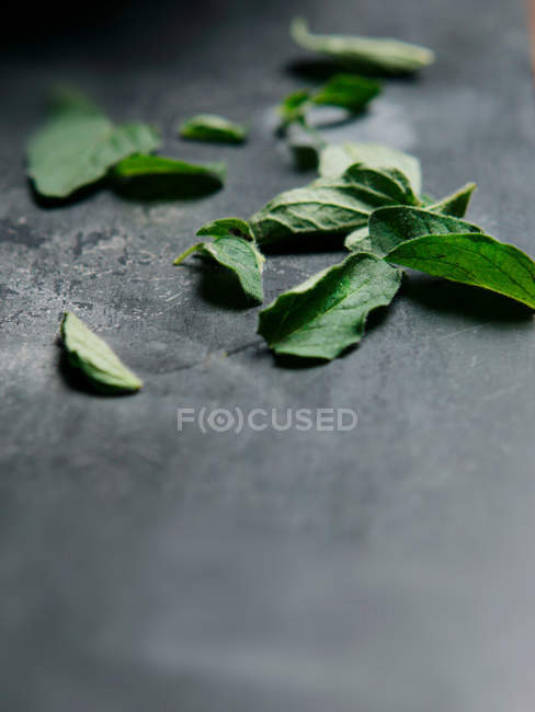 Fresh green oregano leaves on table — Stock Photo