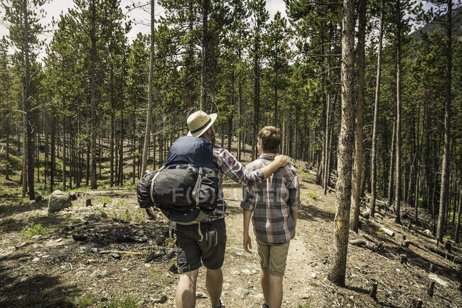 Rear view of father with hand on sons shoulder trekking through forest, Red Lodge, Montana, USA — Stock Photo