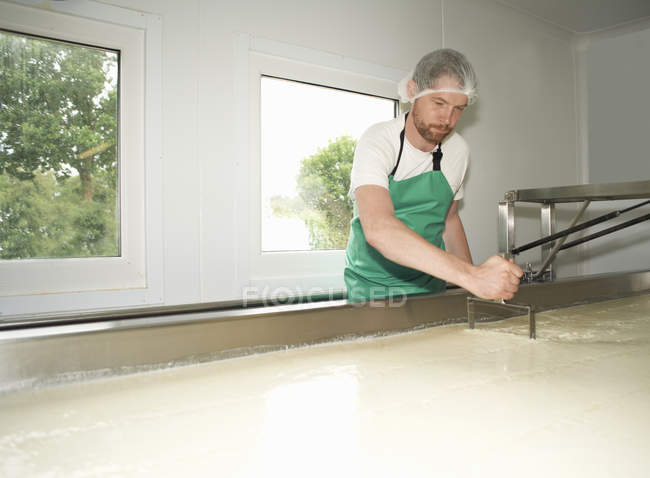 Cheesemaker slicing through curds at farm factory — Stock Photo
