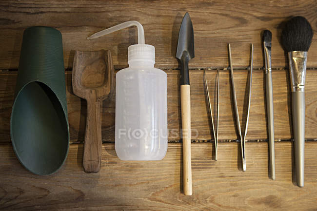 Vista superior bodegón de herramientas de jardinería colocadas en una fila en la superficie de madera - foto de stock