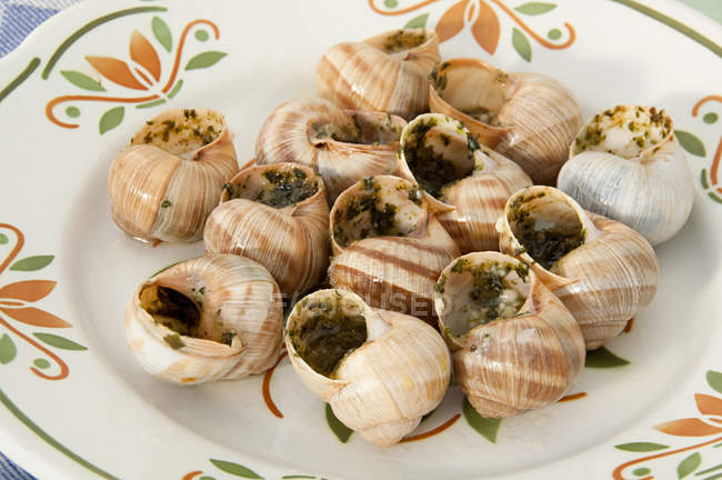 Escargot seashells on plate — Stock Photo