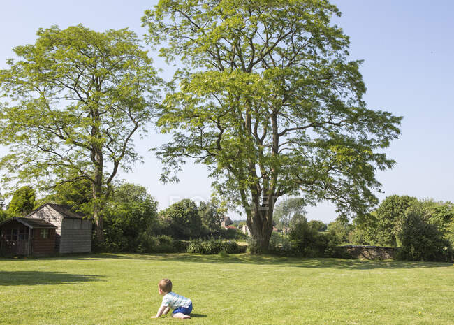 Мальчик ползает по траве в саду — стоковое фото
