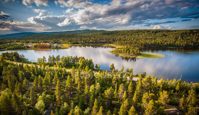 Vista panorâmica da água e da floresta, Adolfstromm, Lapónia, Suécia — Fotografia de Stock