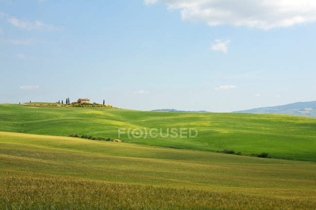Hügelige Landschaft, Toskana — Stockfoto
