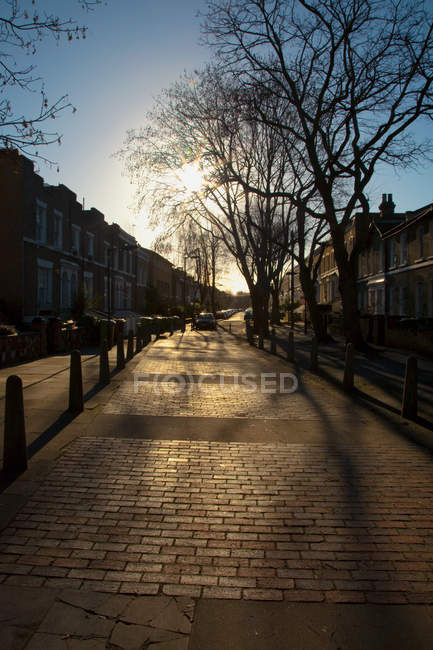 Calle con casas y árboles desnudos a la luz del sol - foto de stock