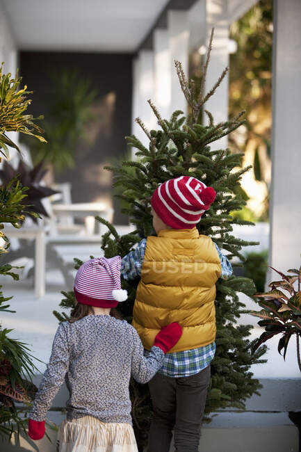 Ragazza e ragazzo che trasportano albero di Natale — Foto stock