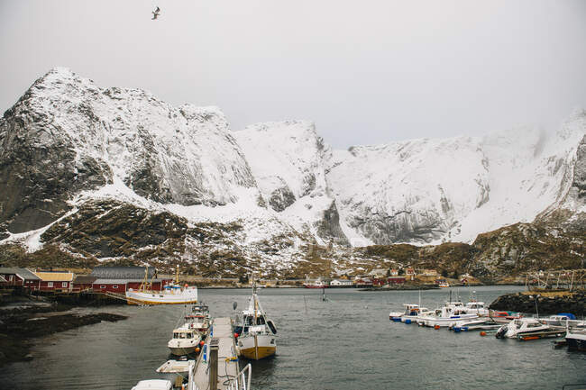 Reine, Norvegia nella stagione invernale — Foto stock