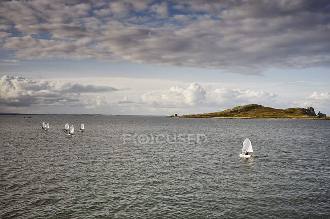 Вид на острів Іреландс Око, Хаут, Дублінська затока, Ірландія — стокове фото