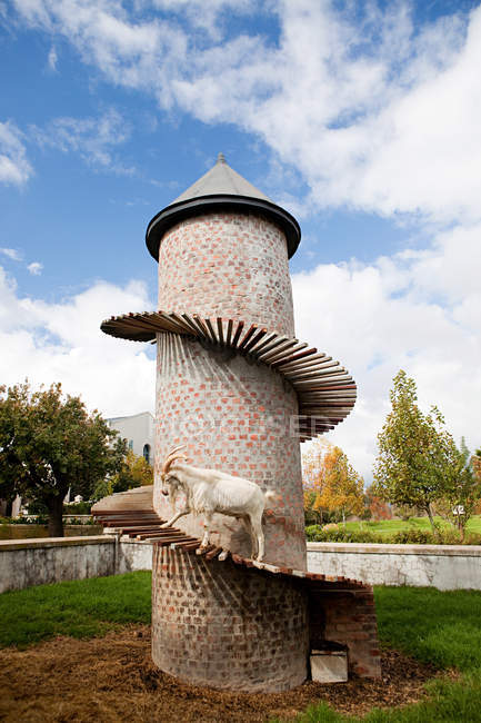 Torre de cabra, Fairview Wines Estate — Fotografia de Stock