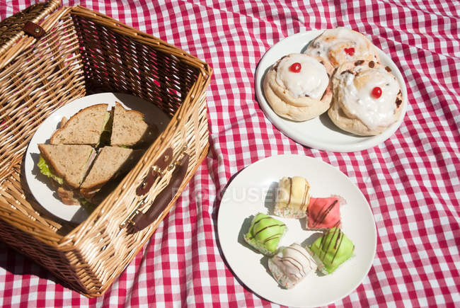 Panier de pique-nique avec sandwichs et gâteaux — Photo de stock