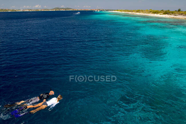 Snorkelers en el Mar Caribe - foto de stock
