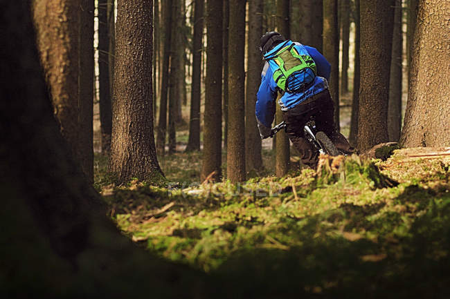 Чоловічий гірський велосипедист їде через ліс — стокове фото