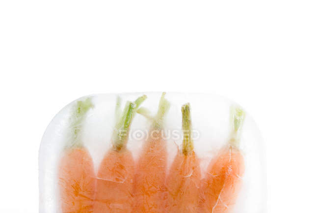 Cenouras congeladas no bloco de gelo — Fotografia de Stock