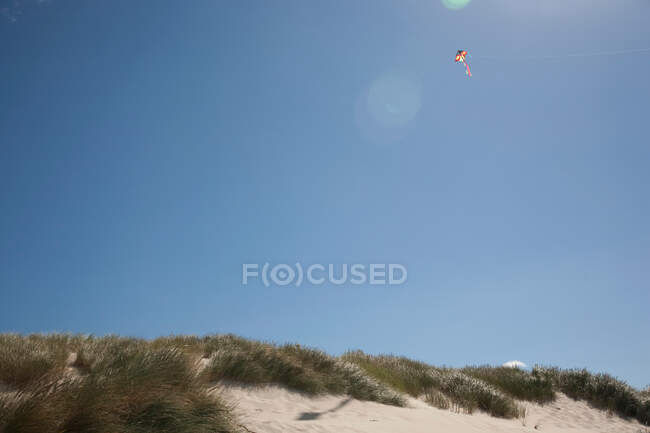 Кайт, летящий высоко в небе — стоковое фото