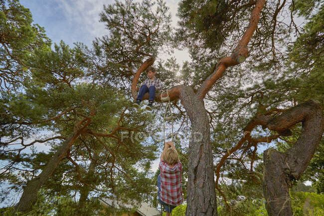 Young boy sitting in tree, his friend climbing rope ladder on tree to join him — Stock Photo