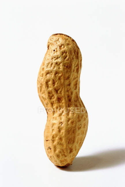 Cáscara de cacahuete vertical entera sobre fondo blanco - foto de stock