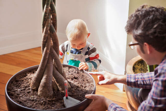 Father and baby boy with potted plant — Stock Photo