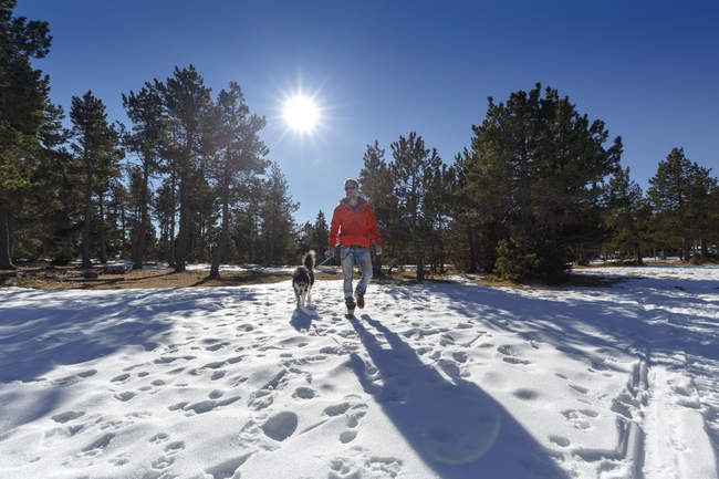 Älterer Mann geht Hund im verschneiten Wald spazieren — Stockfoto
