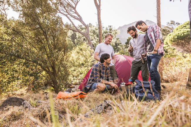 Cuatro amigos varones charlando en el campamento forestal, Deer Park, Ciudad del Cabo, Sudáfrica - foto de stock