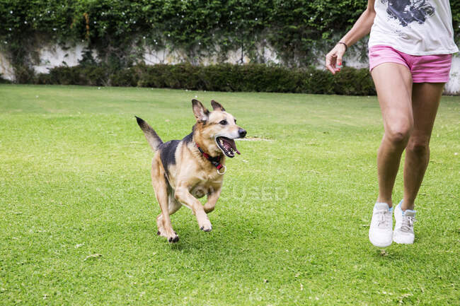 Young woman with dog on the grass — Stock Photo