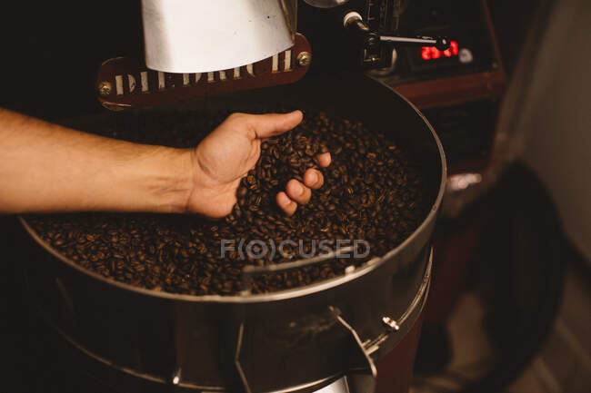 Homme tenant des grains de café torréfiés — Photo de stock