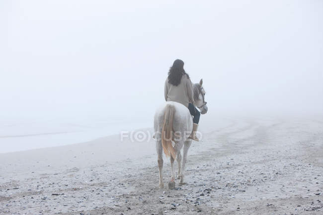Вид сзади женщины верхом на лошади на пляже — стоковое фото